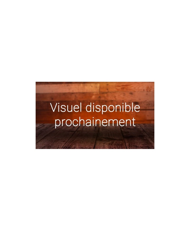 Assiette Tenders x4