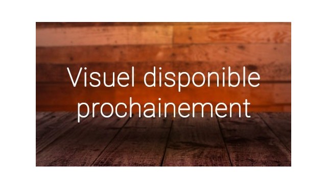 Assiette Tenders x4
